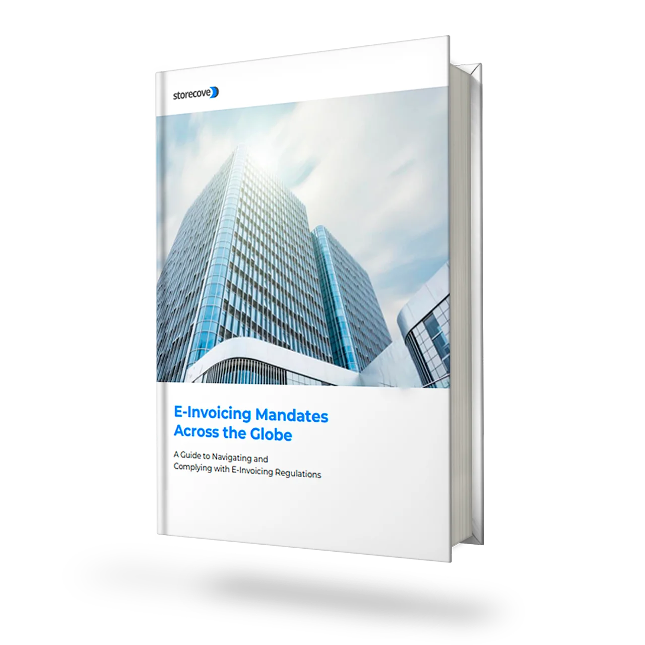 Global Compliance Guide