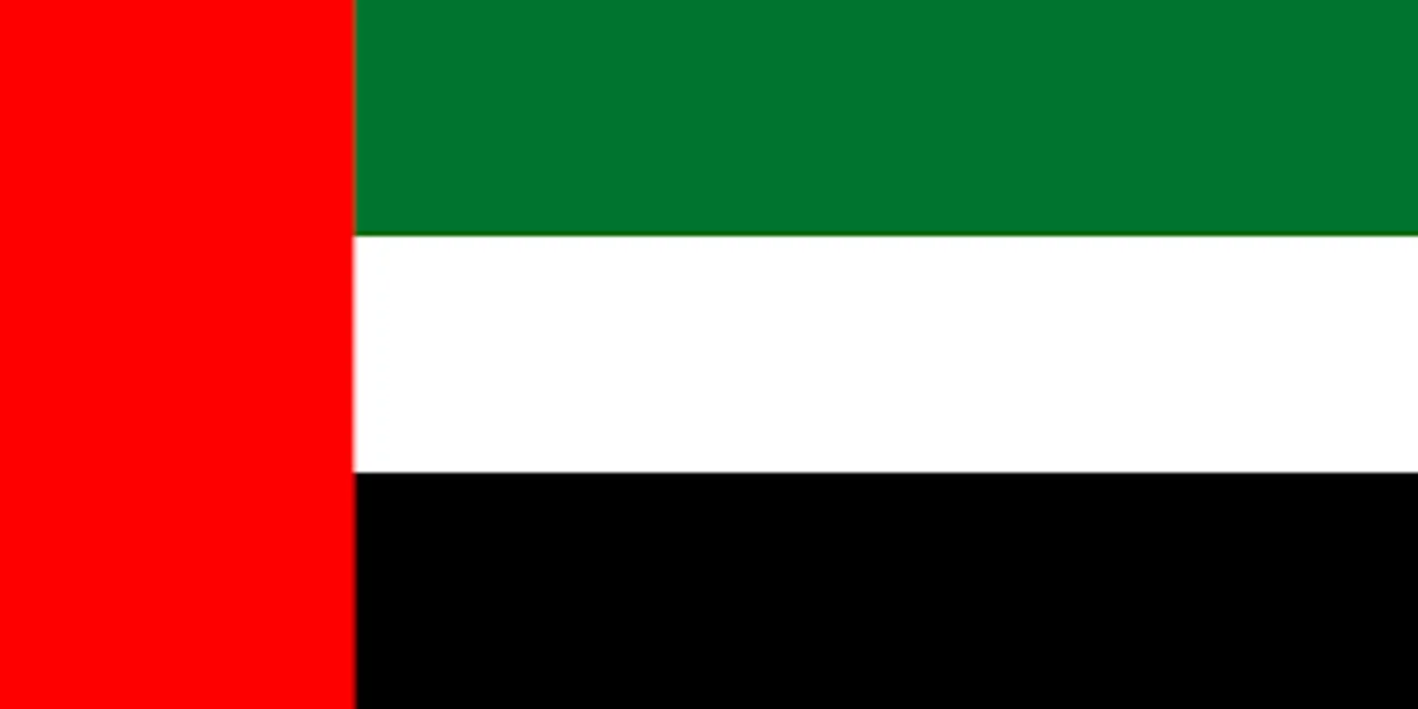 E-invoicing in United Arab Emirates